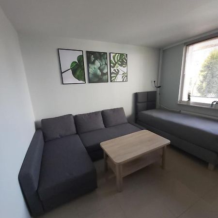 Apartament Z Ogrodem ティヒ エクステリア 写真