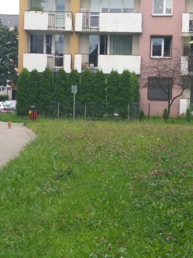 Apartament Z Ogrodem ティヒ エクステリア 写真