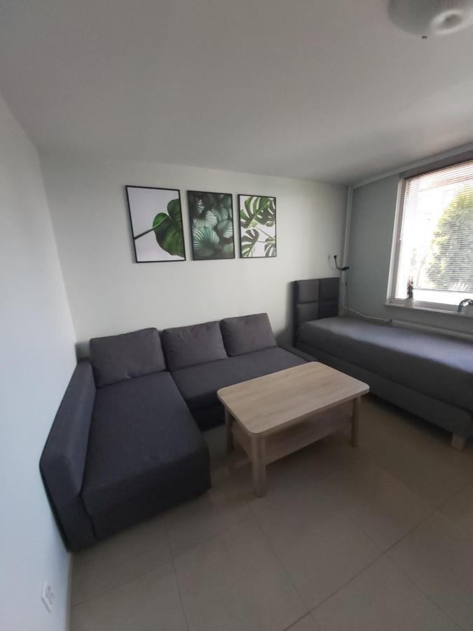 Apartament Z Ogrodem ティヒ エクステリア 写真
